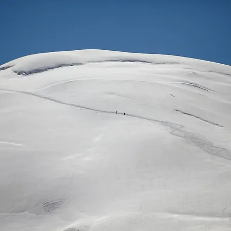 호텔 The Capra Saas Fee