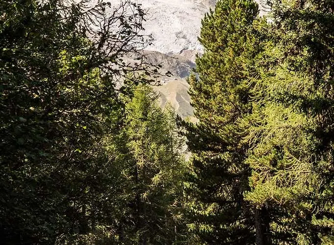 萨斯费卡普拉酒店 酒店