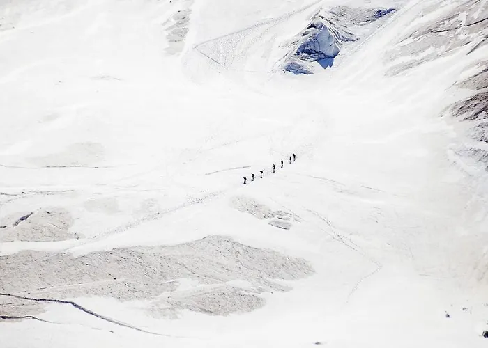 The Capra サース フェー